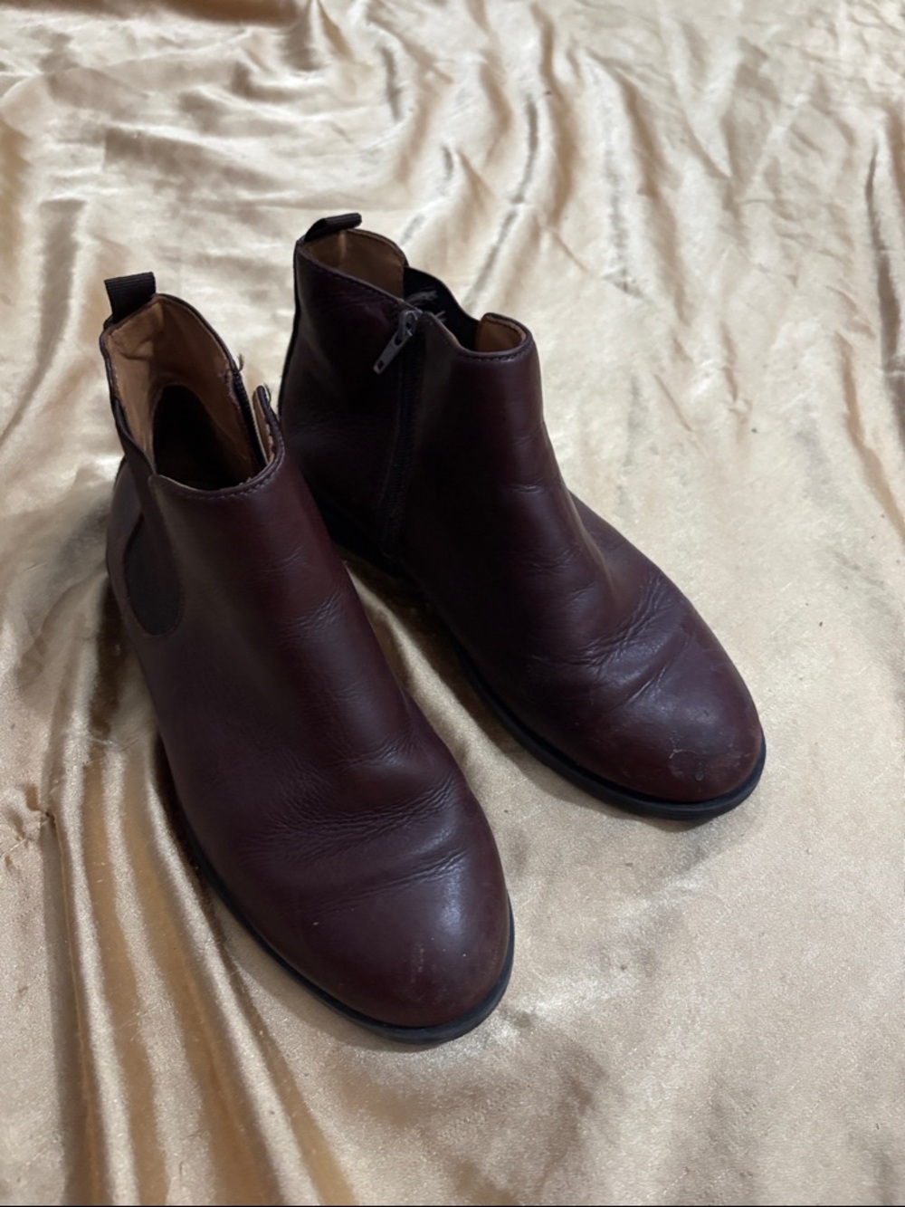 Boys Chelsea Zip Ankle Boots in Dark Brown